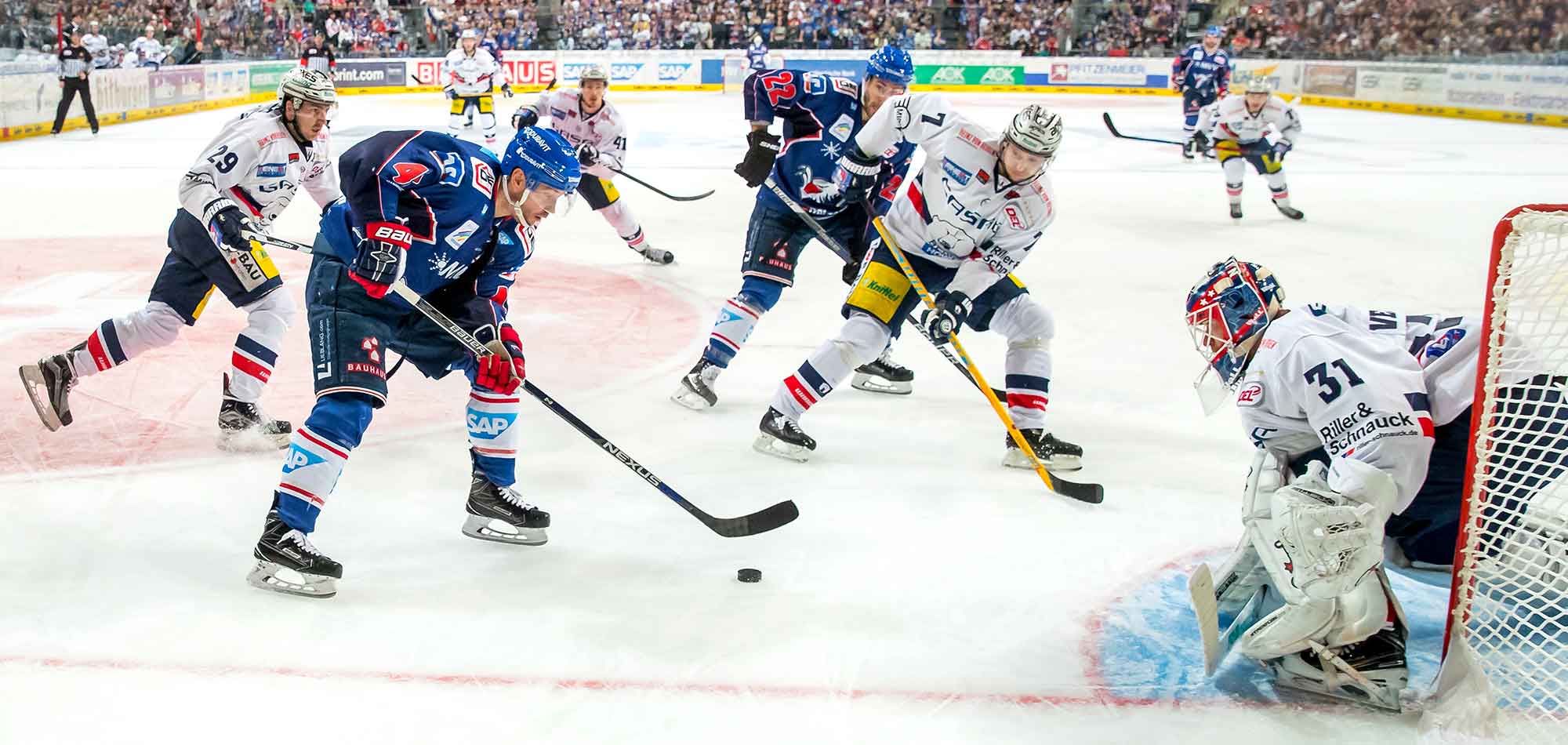 Eisbären